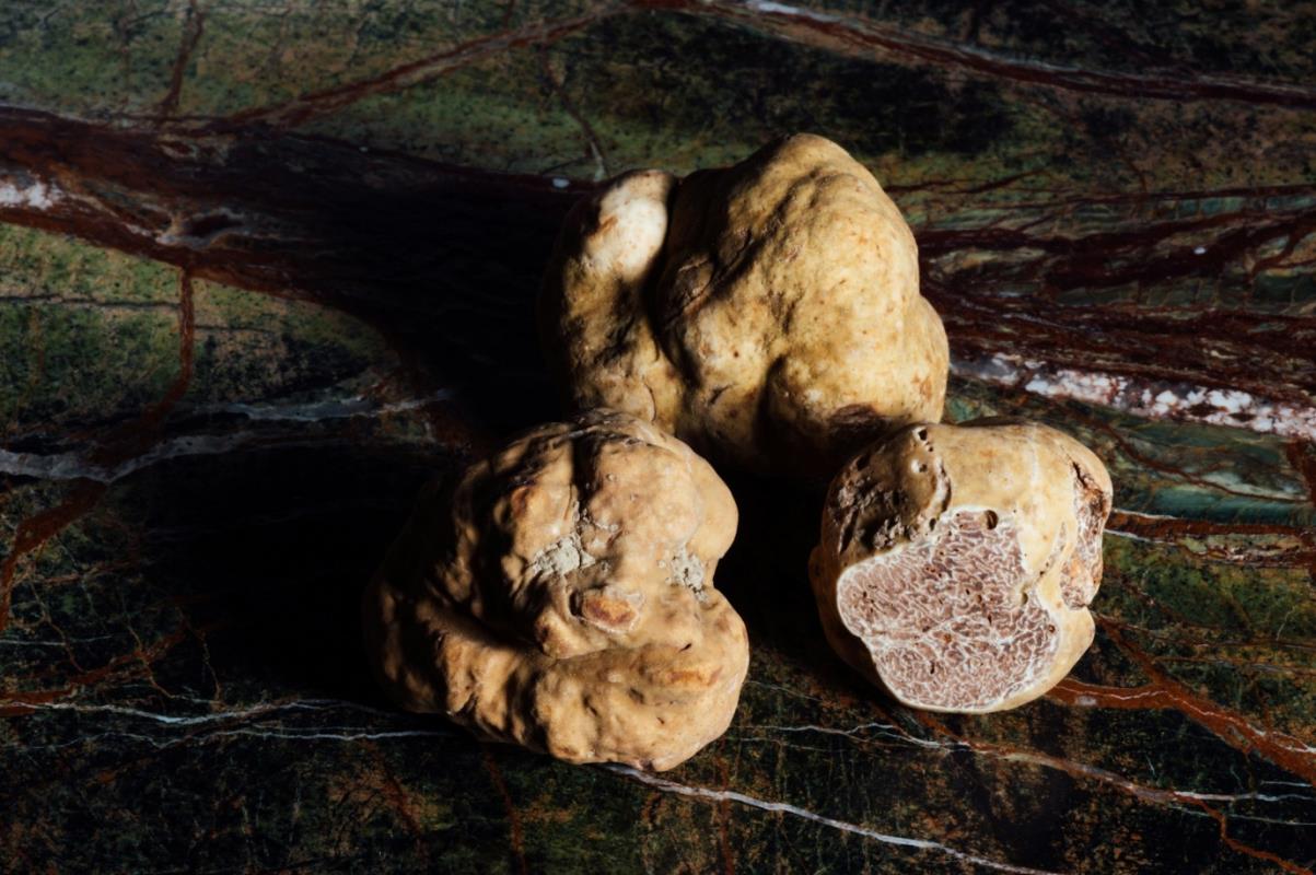 Psilocybin Truffles: Too Micro to Matter?