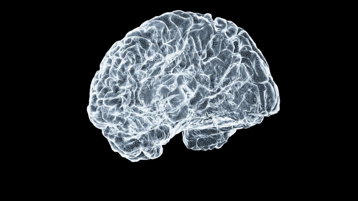 How Ibogaine Interacts with Dopamine, Serotonin and Neuroplasticity